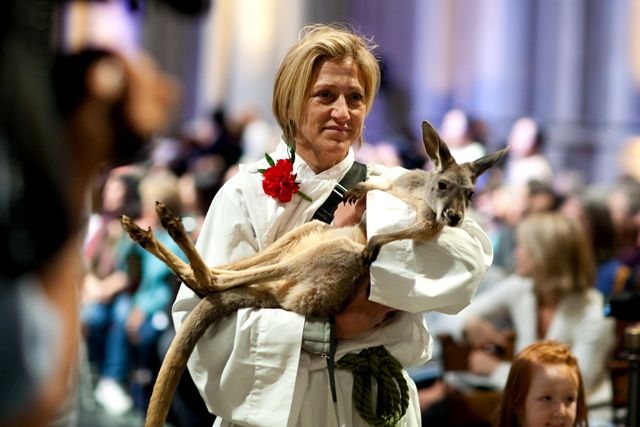 Edie Falco and kangaroo. 